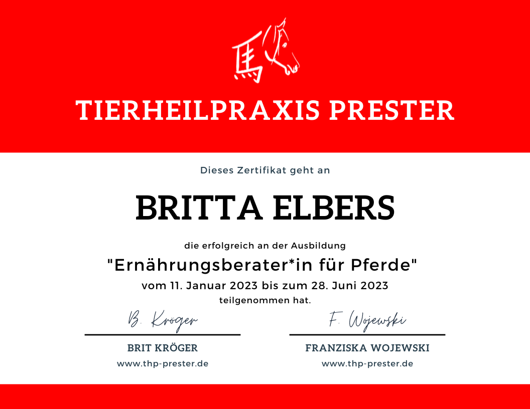 Britta Elbers Zertifikat